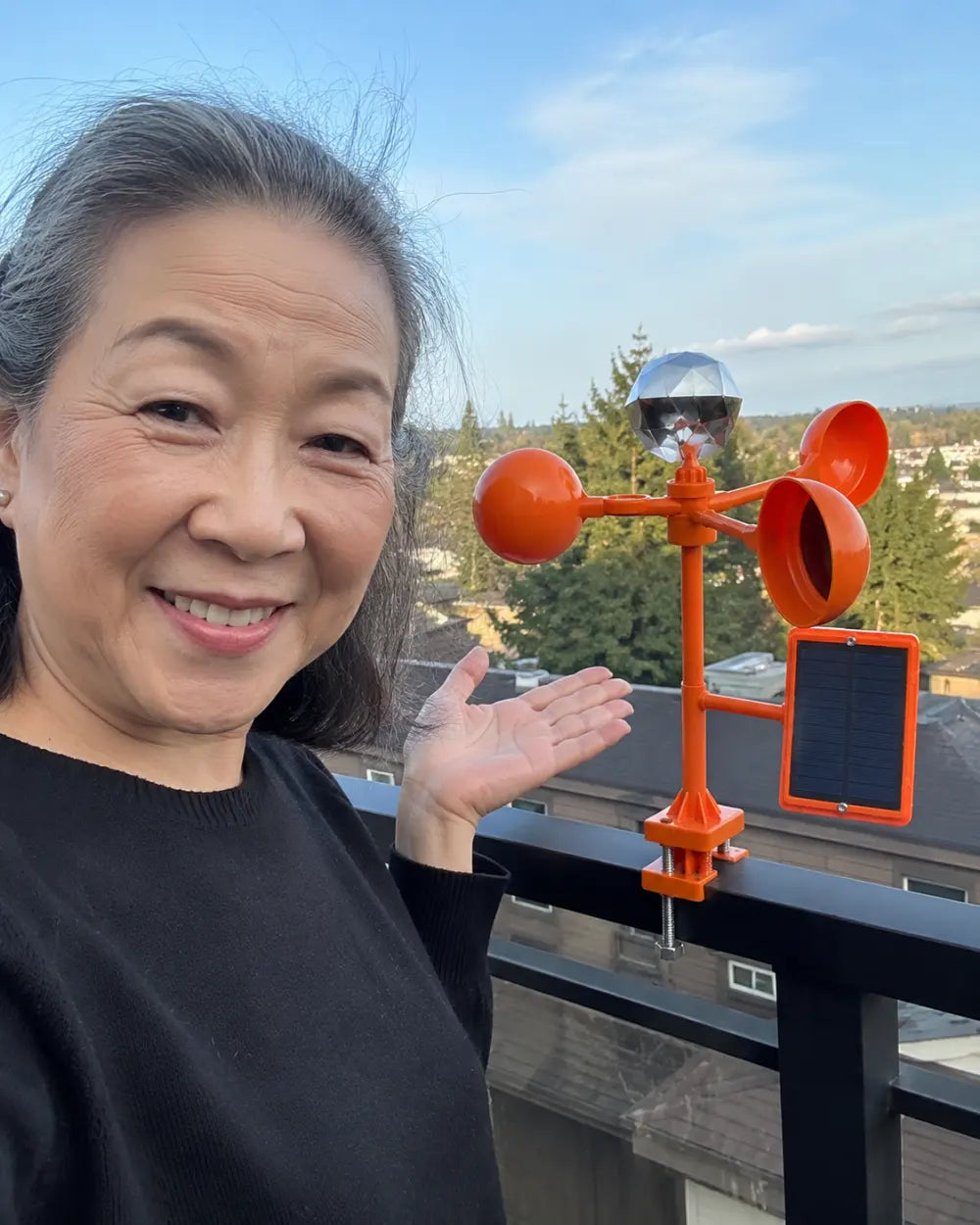 Customer photo: PestRay Rooftop Spinner